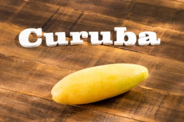 Passiflora tripartita - Egzotik tropikal organik curuba