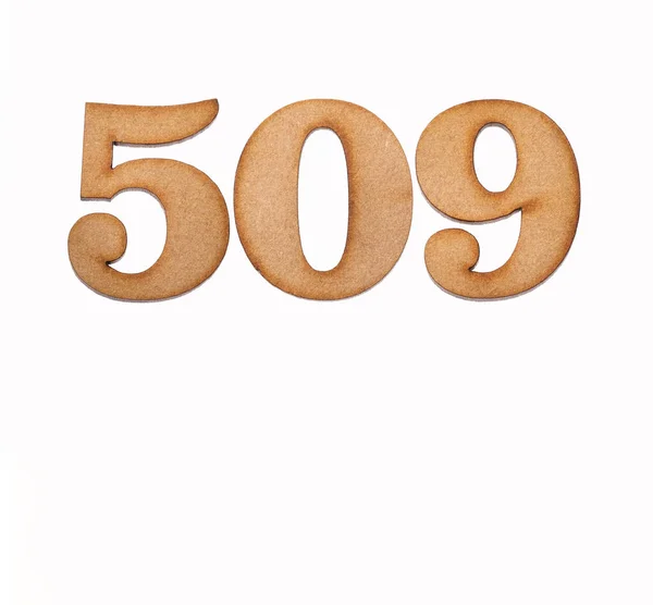 Число 509 Дерева Изолированное Белом Фоне — стоковое фото