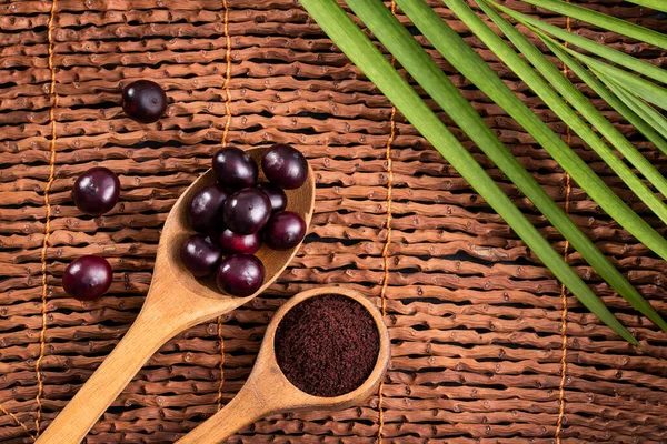 Acai Bobule Prášek Lžíci Euterpe Oleracea — Stock fotografie