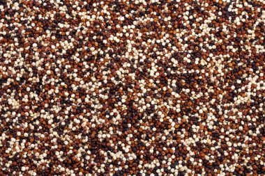 Kırmızı, beyaz ve kahverengi karışımı Chenopodium kinoası.