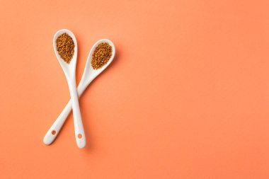 İki seramik kaşıkta organik yonca tohumları - Medicago sativa