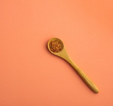 Medicago sativa - Tahta kaşıkta organik yonca tohumları
