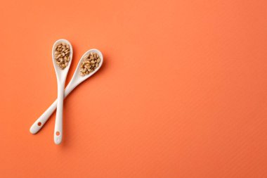 İki kaşıkta çiğ organik inci arpa, Hordeum vulgare..