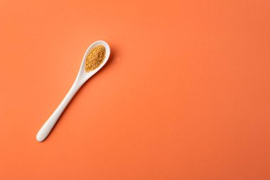 Seramik kaşıkta organik amaranth tohumları - Amaranthus
