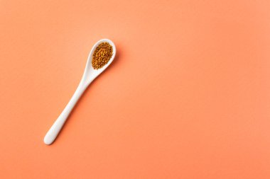 Medicago sativa - Seramik kaşıkta organik yonca tohumları