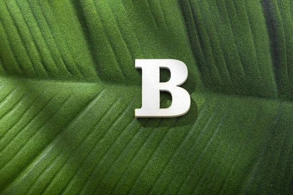 热带森林叶子上方的大写字母B — 图库照片