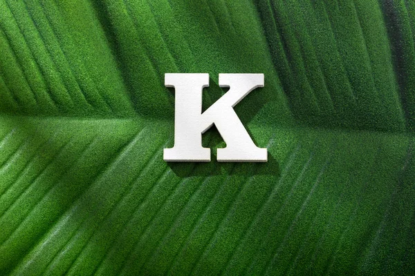 Alphabet Letter Green Leaf Tropical Plant — Foto de Stock