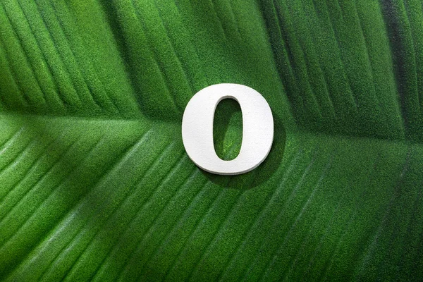 Litera Alfabetu Zielony Liść Tropikalnej Rośliny — Zdjęcie stockowe