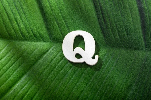 Alphabet Letter Green Leaf Tropical Plant — Stock fotografie