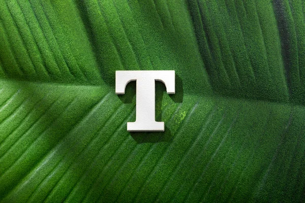 Uppercase Letter Forest Tropical Leaf — 스톡 사진
