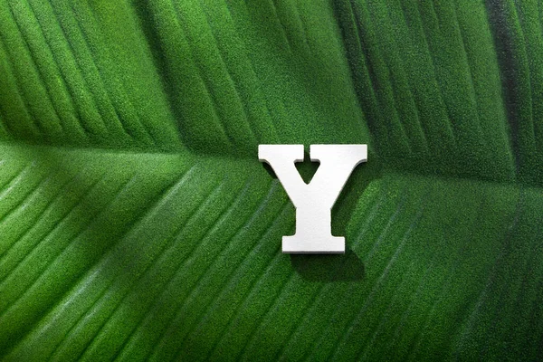 Alphabet Letter Green Leaf Tropical Plant — ストック写真
