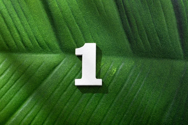 Nummer Eins Über Tropischem Waldblatt — Stockfoto