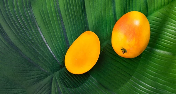 Zralé Čerstvé Tropické Ovoce Mango Mangifera Indica — Stock fotografie
