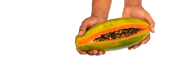 农民手中的成熟甜木瓜 卡莉卡木瓜 — 图库照片