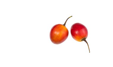 Solanum betaceum - Tamarillo böğürtlen greftiyle olgunlaşmış tropikal meyve