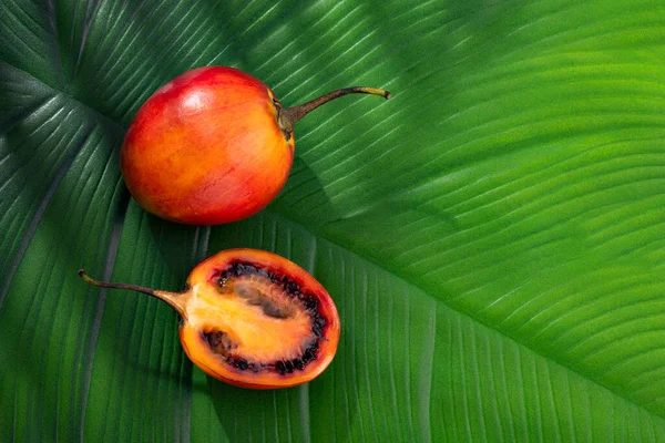 Tamarillo Štěp Ostružiny Čerstvé Zralé Organické Solanum Betaceum — Stock fotografie