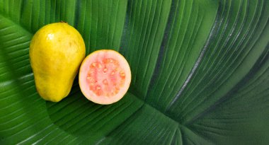 Psidyum guajava - Organik olgun taze guava