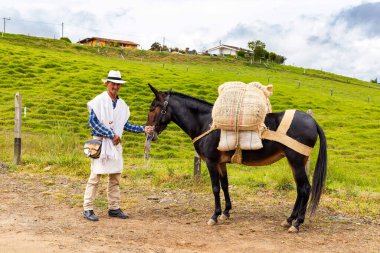 El Penol, Antioquia - Kolombiya - 25 Mayıs 2022. Paisa katırcısı, katırların insan sürücüsü, tarlayla ilgili malların taşıyıcısı.