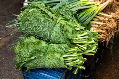 Brassica oleracea var - Geleneksel Kolombiya pazarında yeşil lahana yaprakları