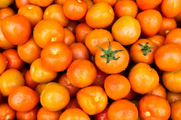 Deliciosos Tomates Tradicional Mercado Colombiano Lycopersicon — Foto de Stock
