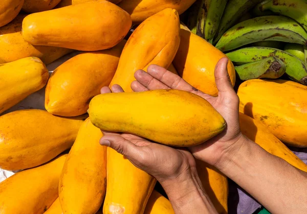 Papaya Den Händen Des Bauern Auf Dem Kolumbianischen Markt Carica — Stockfoto