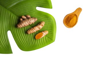 Curcuma longa - Kökler ve taze zerdeçal tozu