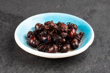 Toasted culona ant - Delicious Colombian recipe