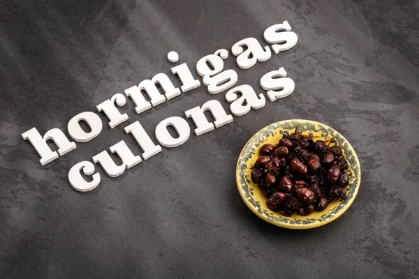 Ant Big Ass Tradition Santander Colombian Gastronomy —  Fotos de Stock