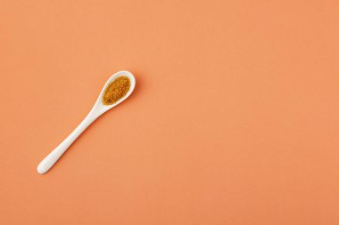 Saccharum officinarum - Seramik kaşıkta organik kahverengi şeker