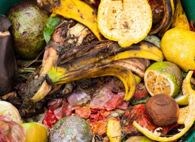 Organic waste food leftovers - Fruit and vegetable peelings