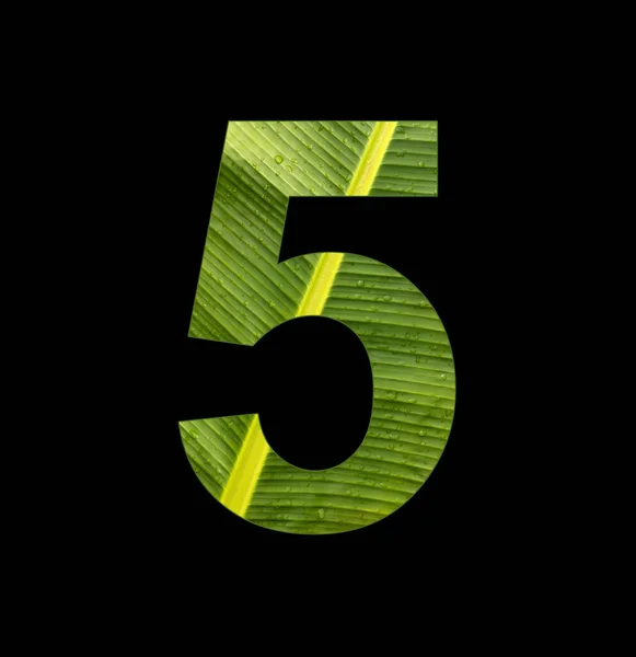 Number Digit Banana Plant Leaf Background — Stockfoto