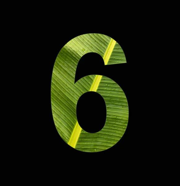 Number Digit Banana Plant Leaf Background — Stockfoto