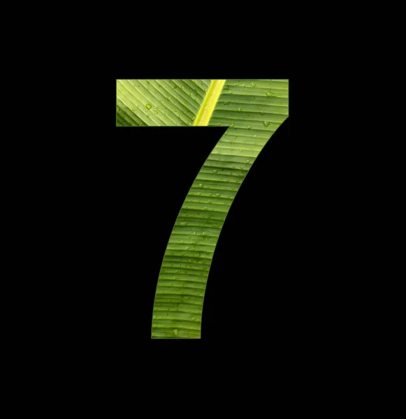 Number Digit Banana Plant Leaf Background — ストック写真