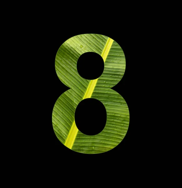 Number Digit Banana Plant Leaf Background — ストック写真