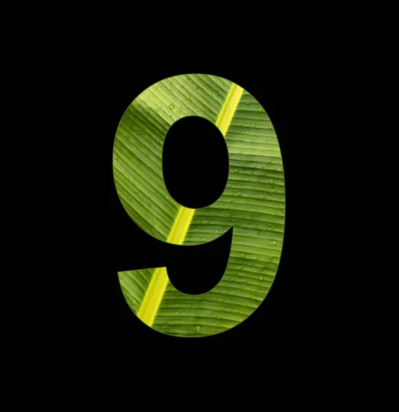 Number Digit Banana Plant Leaf Background — Stockfoto