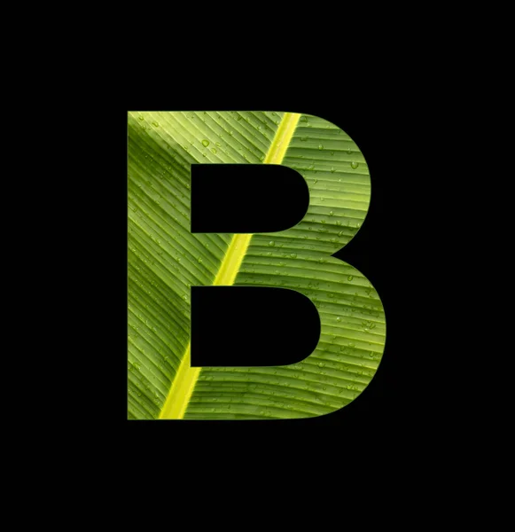 Alphabet Letter Banana Leaf Background Natural Background — ストック写真