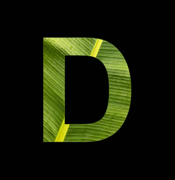 Alphabet Letter Banana Leaf Background Natural Background — Stockfoto