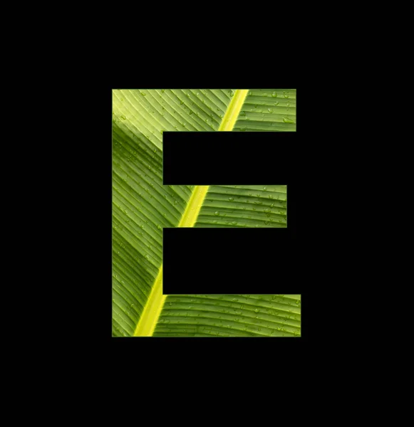 Alphabet Letter Banana Leaf Background Natural Background —  Fotos de Stock