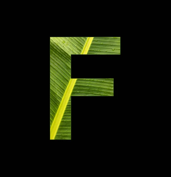 Alphabet Letter Banana Leaf Background Natural Background — Stock Fotó