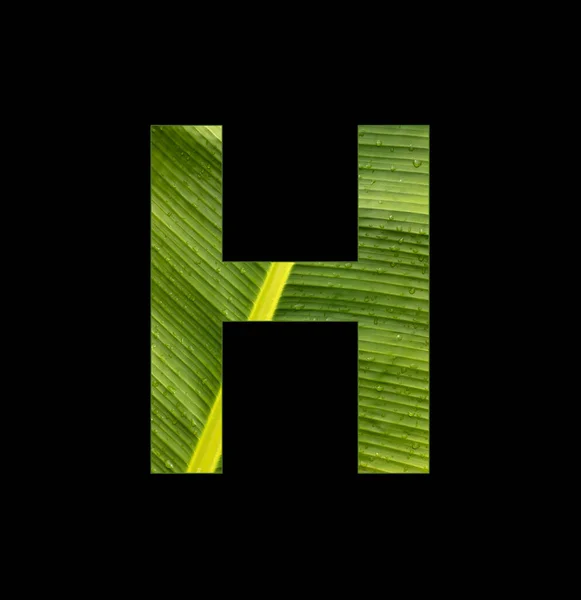 Alphabet Letter Banana Leaf Background Natural Background — Stock fotografie