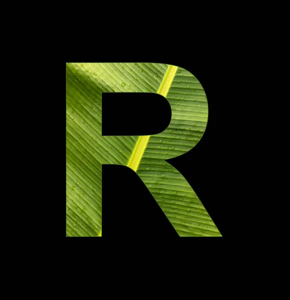 Alphabet Letter Banana Leaf Background Natural Background — ストック写真