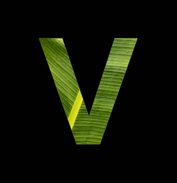 Alphabet Letter Banana Leaf Background Natural Background — Fotografia de Stock
