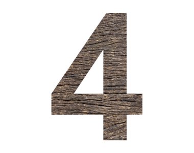 Number 4 - Rustic tree cortex background