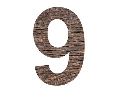 Number 9 - Rustic tree cortex background