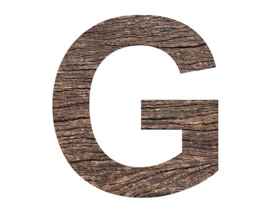 Alphabet letter G - Rustic tree bark background