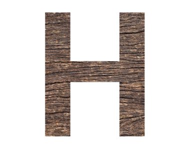 Alphabet letter H - Rustic tree bark background