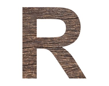 Alphabet letter R - Rustic tree bark background