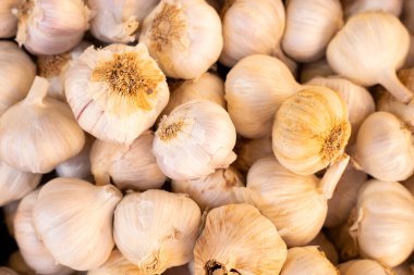 Allium sativum - Piyasada organik beyaz sarımsak