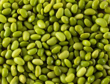 Organik taze soya fasulyesi arka planı - maksimum Glycine
