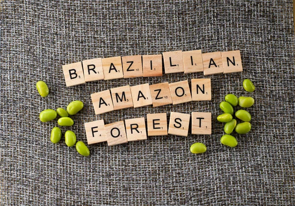 Szója Egyik Felelős Amazonasi Esőerdők Erdőpusztulásáért — Stock Fotó